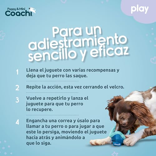 Juguete Coachi Puppy & Mini Chase & Treat, jugar y perseguir, entrenamiento de agilidad y a distancia, interacción, adiestramiento a distancia con recompensas y recuperación. Perros y cachorros - imagen 5