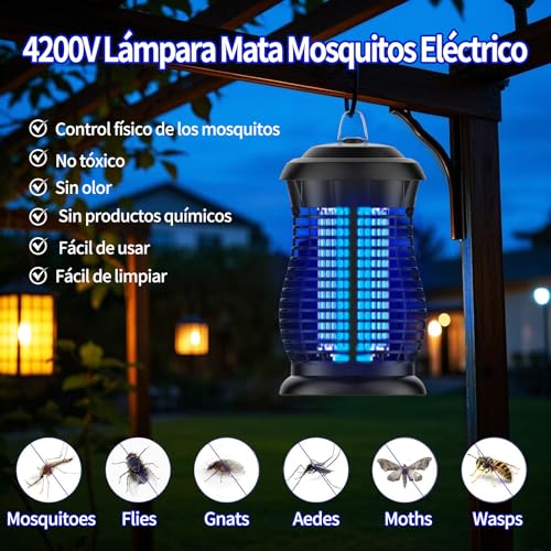 La Mejor Lista de Mata moscas . 14 Imagen adicional