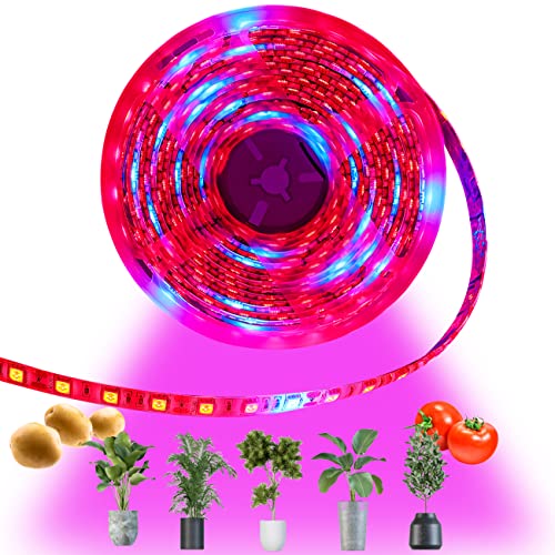 Tesfish LED planta crecer tira luz DC 12V IP65 espectro completo SMD 5050 rojo azul 8: 1 cuerda luz para acuario Invernadero plantas