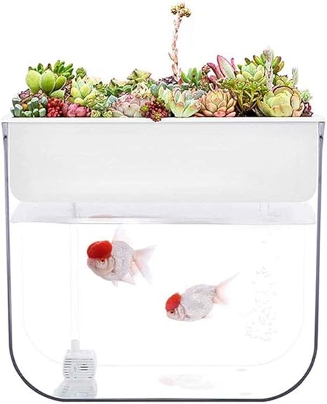 self cleaning fish tank amazon
