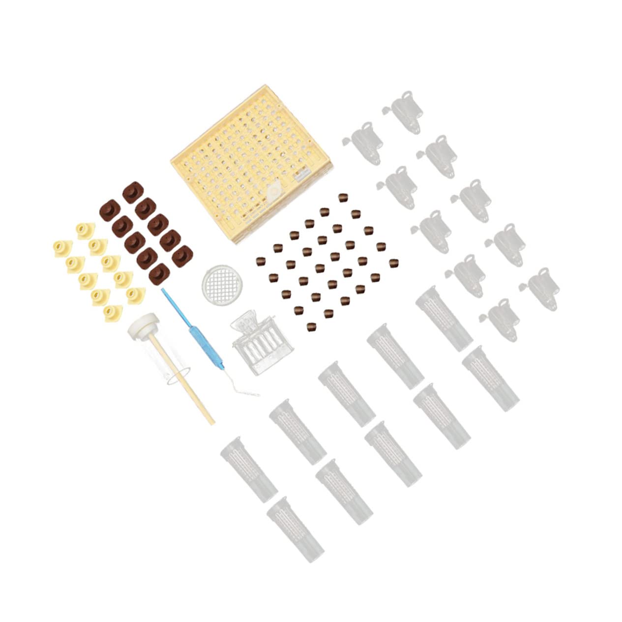 Système D’élevage de Reines Boîte de Culture Plastique Abs pour Abeilles
