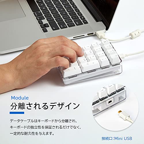 TJK テンキー Numeric keyboard PC向け メカニカル 青軸 USBテンキーパッド 有線 数字キーボード 21キー設置 バックライト付き 人間工学 持ち運び便利 コンパクト 多機能ナンバーパッド オフィス 仕事などに適応