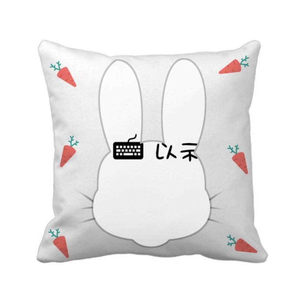 Lapin coussin carré couverture beauté chinoise pour bureau
