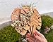 Floral & Magnetic Wedding Fans - Personalized Wedding Favors, Wooden Wedding Fans for Wedding Guests, Flower Twined Hand Fans for Guests - Monstera Wooden Fan