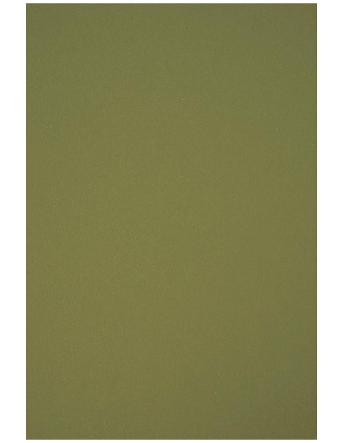 Netuno 25x Green Coloured cardstock 160gsm A4 210 x 297 mm 8.3 x 11.7 in Circolor Rosemary Recycled Paper Colourful Craft cardstock for DIY Invitations Card Making Scrapbooking Flyers Business Cards