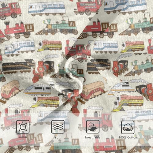Boys' Exclusive Briefs Toddler Underwear 95% Combed Cotton Boxerbriefs 2T Vehicle Pattern Cars 113