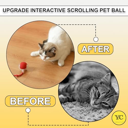 Image of Pet Cat Toys for Persian Cats - Interactive Pet Toys for Cats & Kittens | Soft, Fun & Safe Toys for Indoor Cats | Great for Play & Exercise