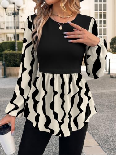 WIHOLL Women's Long Sleeve Tunic Tops Crew Neck Babydoll Peplum Blouses Fall Fashion 2026 - Image 3