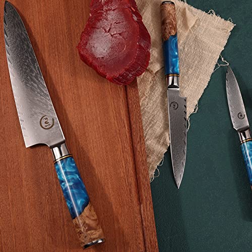 Fukep Chef Knife Set, Kitchen Knife Set Of 3, Damascus Vg10 Steel, Blue Handle Series #TOP1