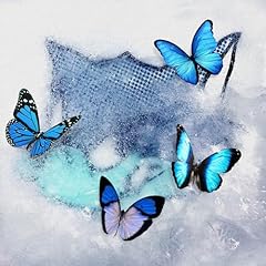 Frozen Butterfly / WOLF HOWL HARMONY