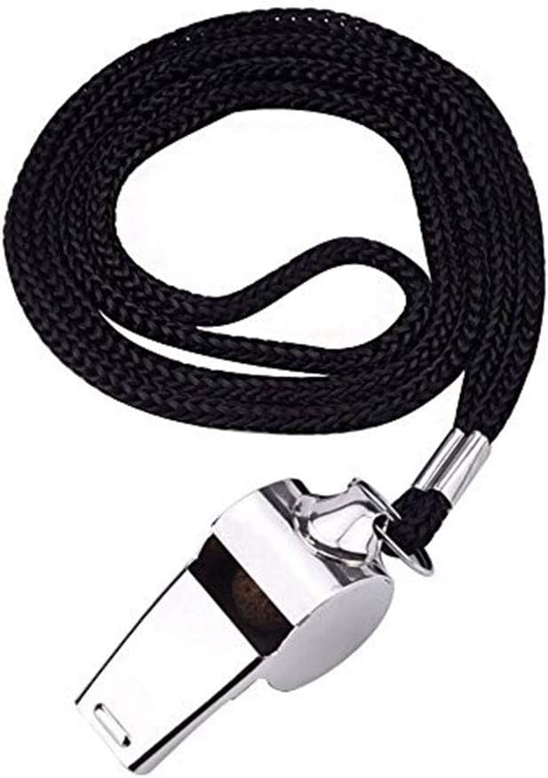 fischietti d'acciaio