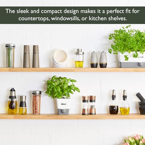 Cole & Mason | H105349 | Burwell Pot à Herbes Aromatiques avec Système D'irrigation Auto-Arrosage | Place pour 1 Pot | Blanc/Gris | 13,8 cm x 13,5 cm x 13,2 cm