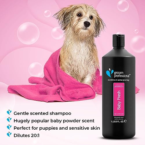 GROOM PROFESSIONAL Baby Fresh Hundeshampoo Sensitiv - Hundeshampoo Gegen Geruch - Babypuderduft - Für Juckende & Trockene Haut - Sanft Duftendes Welpenshampoo - Perfekt für Welpen, 1 Liter