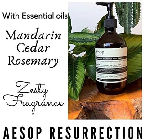 Aesop Reverence 500ml And Resurrection Aromatique 500ml Handwash Duo Set Essential Botanical Extracts With Bergamot Mandarin Rind Gentle Formulation Single Pump Gel Exfoliate Cleanse Refreshed Skin