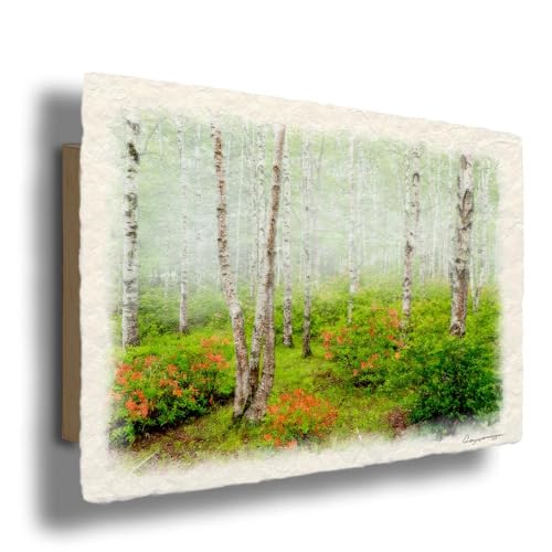 i G CeA A[gpl  G   Ǌ| åGʐ^ uQccWƖ̐V΂̔сv plt 30x21cm   Ԃ̊G  X Natural Memories