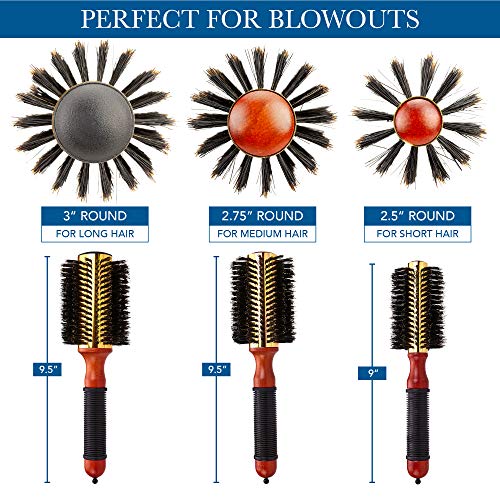 Medium Round Blow Dry Brush - Boar Bristle, Thermal Metal Barrel, Professional Anti-Static Roller Hair Brush For Styling And Blow Drying - Bonus Sectioning Pick - 16 Row, 2.75” - By Cantor #TOP1