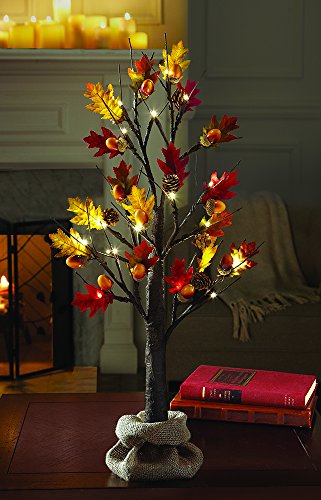 TECHSHARE LOFTPLUS Acorn Tree Bonsai Decorative String Light 24 LED for Indoor use Warm White Battery-Operated Optional AC Adapter Burlap Sack Included 24in Tall