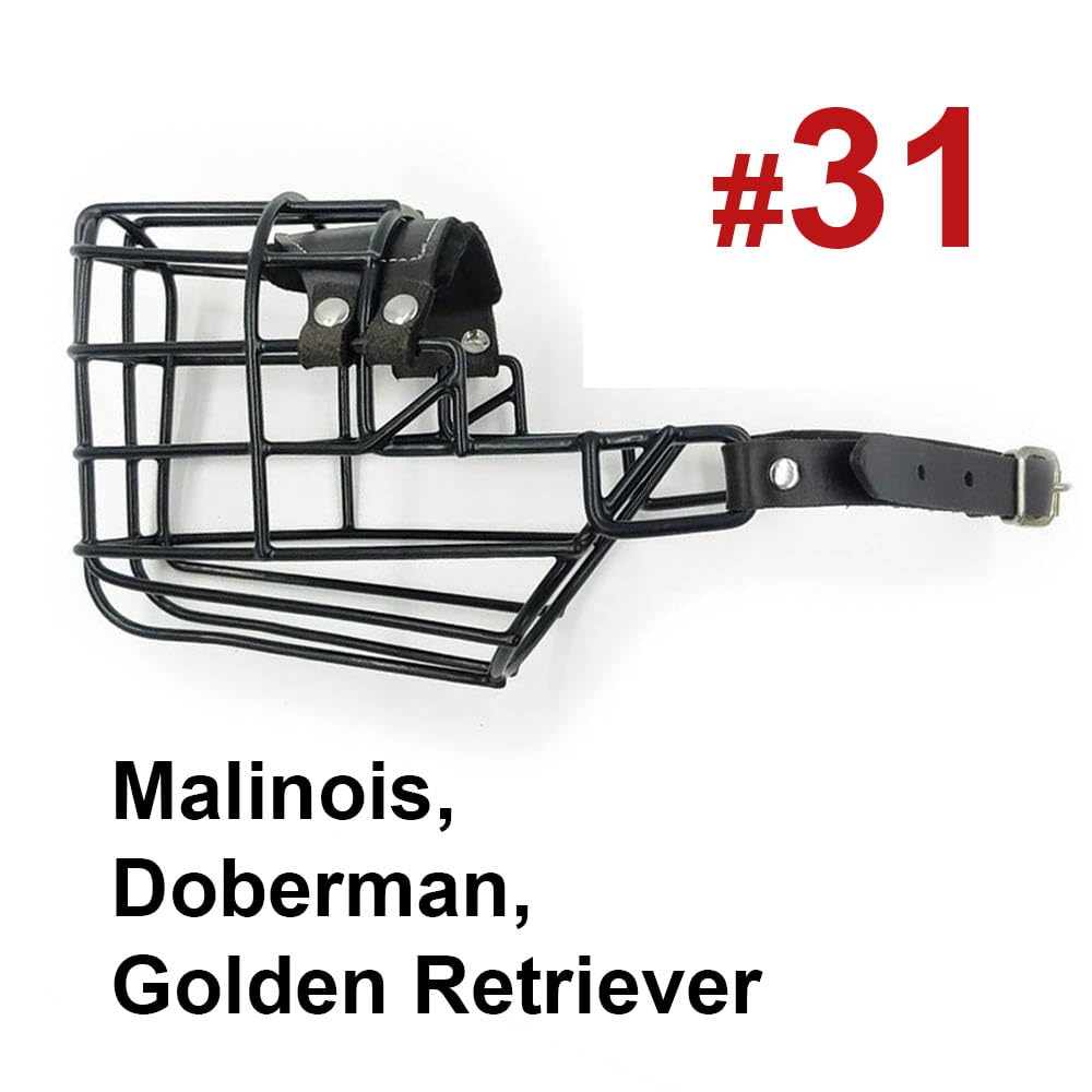 Bozal profesional de metal para perro (tamaño 31) – Cesta de alambre ergonómica para Schnauzer gigante, Doberman, Airedale Terrier, Husky – Entrenamiento resistente y equipo de seguridad diario