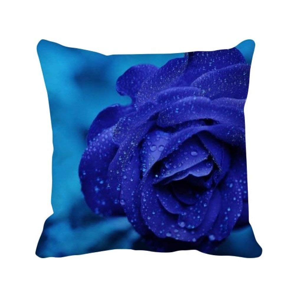 Coussin roses bleu sombre pour raviver un canapé terne salon 40x40cm
