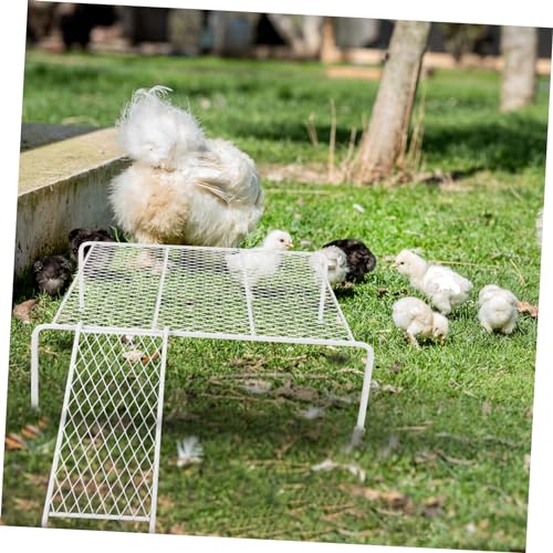 Support mangeoire poulailler et plateforme poulet de routine Abaodam - 6