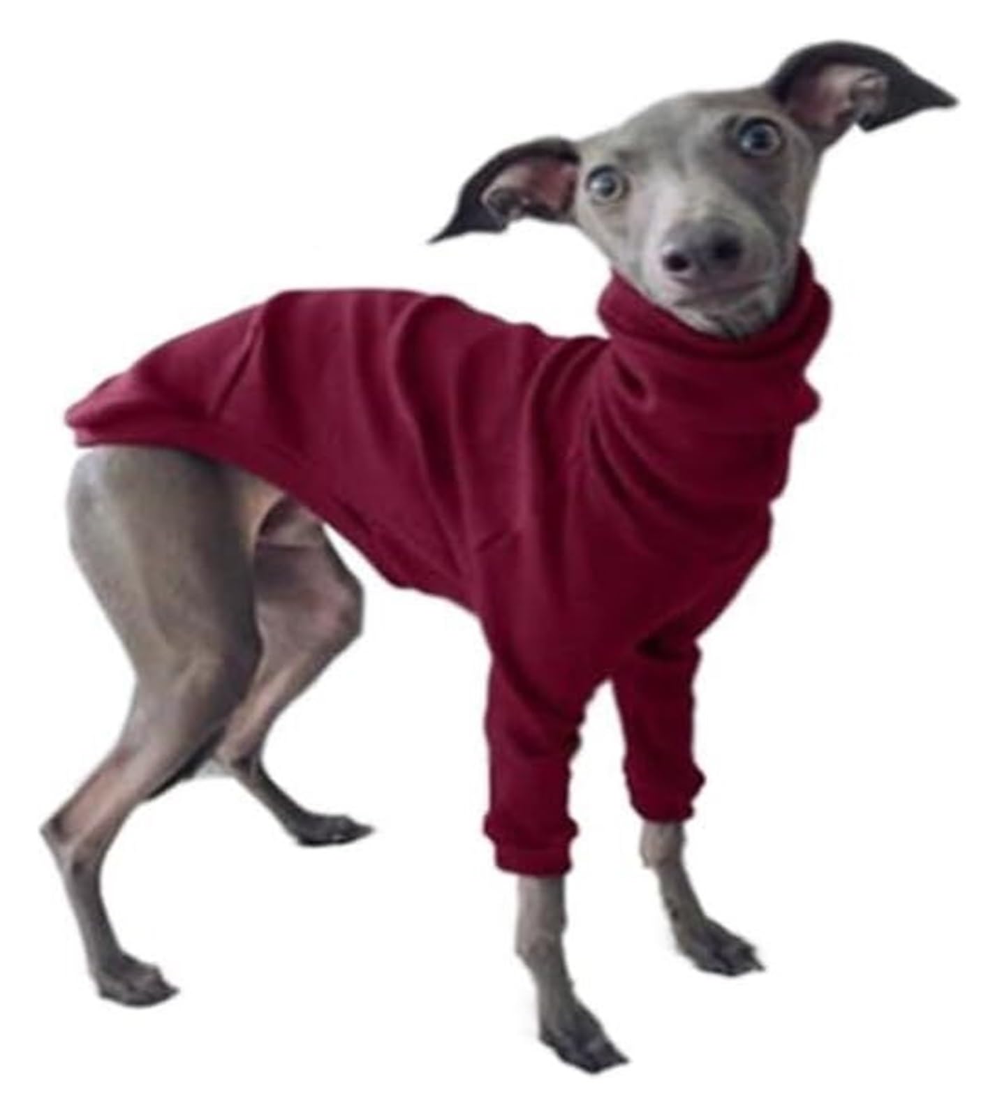 Pyjama d'hiver chaud pour chien lévrier manteau pour balade et maison
