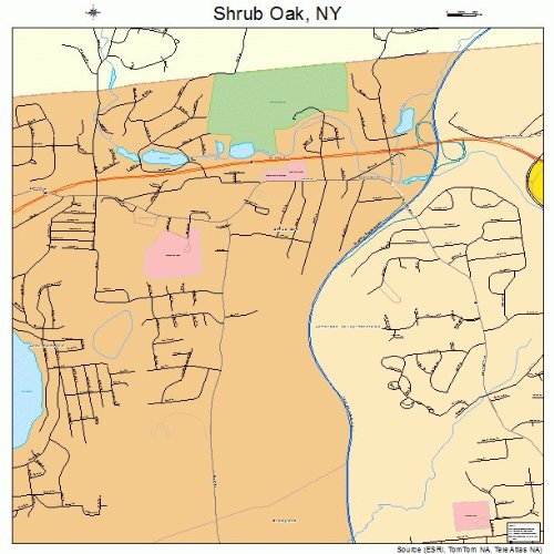 Large Street & Road Map of Shrub Oak, New York NY Printed poster size