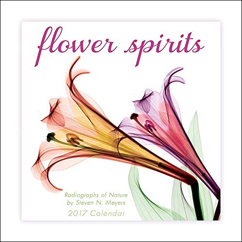 Flower Spirits 2017 Mini Calendar