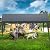 Raxmolo 12x20FT Heavy Duty Portable Carport - All-Weather Enclosed Shelter for Cars, Trucks, SUVs & Boats, Waterproof & UV-Resistant Canopy with Removable Sidewalls, Doors, Ground Stakes (Gray)