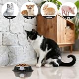 Katzennäpfe 2er Set aus Edelstahl für Katzen und kleine Hunde, Rutschhemmender Futternapf mit abnehmbarem Gummiring, Pflegeleichtes Napfset in Grau und Schwarz
