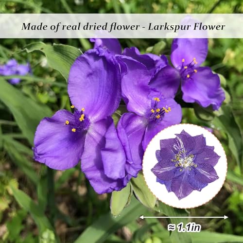 Flores Secas Larkspur Moradas para Manualidades, 60 Piezas miniatura 3