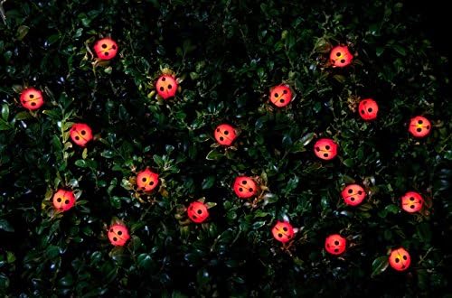 MDL-30 Insect LED Solar Power Fairy String Light Garden Party Decor Ladybird