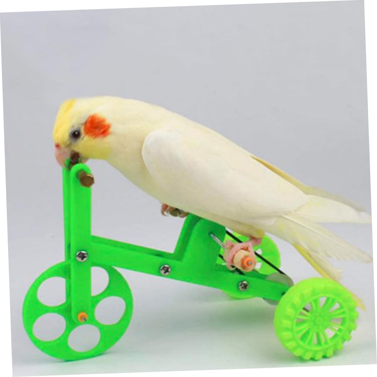 BESPORTBLE 4sätze Papageien Spielzeug Interaktives Trainingsspielzeug Für Vögel Mit Edelstahlringen Fördert Die Intelligenz Spielverhalten Für Nymphensittiche Und Graupapageien Für