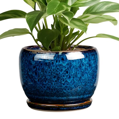 SQOWL Ceramic Planter 8 Inch - Pot for Indoor Outdoor Plants Round Ceramic Plant Pot with Drainage Hole and Saucer Modern Flower Pot Glazed Blue