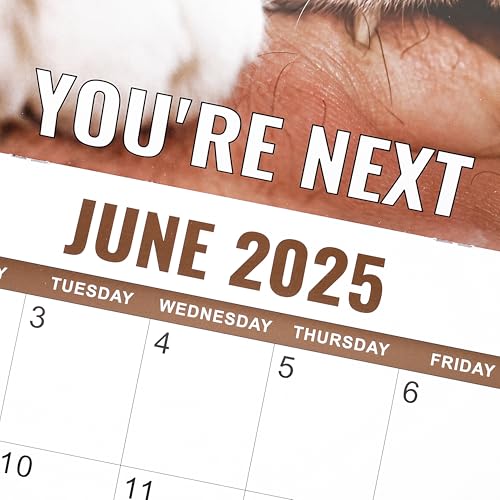 Calendário de parede 2025 – Calendário de gatos engraçados 2025, 30,5 cm x 61 cm (aberto), janeiro d