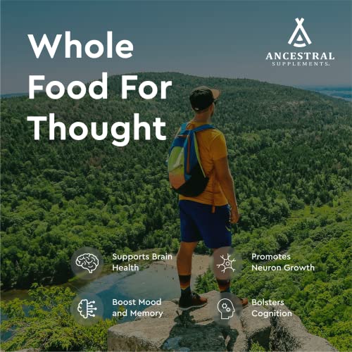 Ancestral Supplements Grass Fed Beef Brain Supplement With Beef Liver, 3000Mg, Whole Food Brain Support For Brain, Mood & Memory Health, Brain & Liver Health Formula Capsules, Non-Gmo, 180 Capsules #TOP2