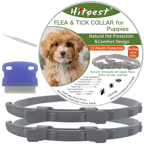 Top 10 Best Tick Collar For Puppies Reviews & Buying Guide Katynel