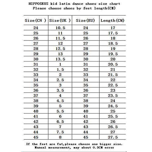 HIPPOSEUS Uomo Ballroom Scarpe da ballo /sala da