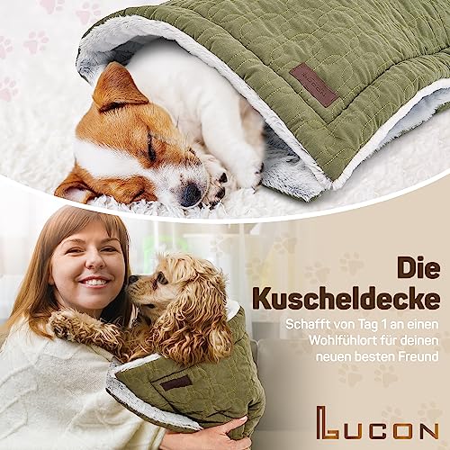 LUCON Hundestarterset Hunde Zubehör Geschenkset bestehend aus Hundespielzeug Hundeleine Hundehalsband Hundedecke Hundebürste Hundenapf Kotbeutel Zeckenkarte Welpen Set
