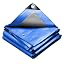 Blue / Silver