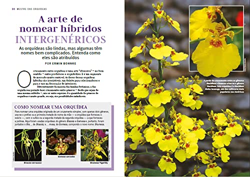 Mestre das Orquídeas - Volume 4: Oncidium & Gomesa