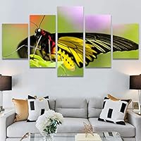 SIGNWIN 5 Panel Canvas Wall Art Birds Butterfly Closeup Colorful Contemporary Home Office Modern Art Multicolor Photography for Home Decorations Ready to Hang - 60