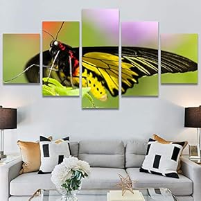 SIGNWIN 5 Panel Canvas Wall Art Birds Butterfly...
