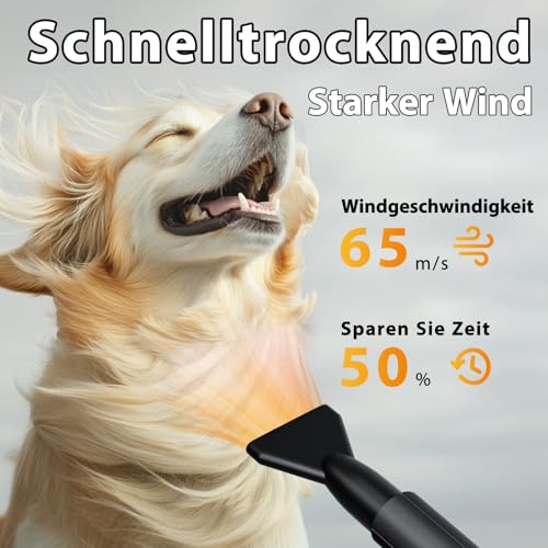 TRIGRAND Hundefön Blower Sehr Leise 3000W Einstellbare Geschwindigkeit, Hundepflege-Trockner-Gebläse mit 4 verschiedenen Düsen elastischem Schlauch