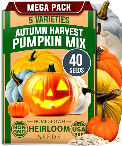 Image of HOME GROWN Pumpkin Seeds 5 Variety Mix 40+ Heirloom Non-GMO, High Germination, Connecticut Field, Blue, White & Mini Pumpkins,Edible & Jack O Lanterns,Autumn Harvest,Ornamental Garden (Cucurbita pepo)