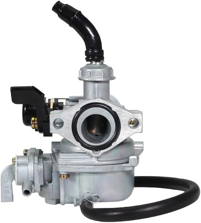 GLAoHZNJ PZ19 19mm Carburetor, front view of air intake