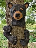 Tree Decor Outdoor Scuplture Baby Bear Up a Tree Garden Peeker Tree Hugger Outdoor Tree Sculpture - Gifts and Garden Décor Tree Hugger Faces for Trees Bear Cub Resin Sculpture