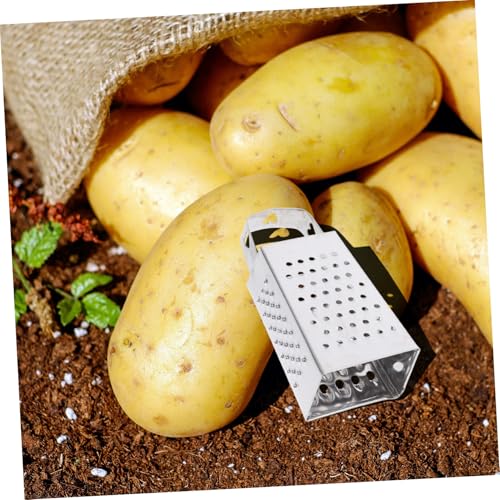 Rallador de Queso Mini 6 Piezas Acero Inoxidable miniatura 4