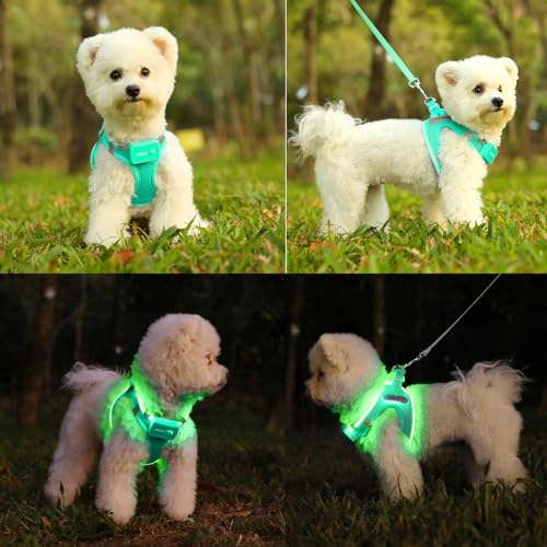 Light Up Dog Harness, Rechargeable LED Dog Harness for Small Medium Dogs by Feycig - Used condition - Image 3