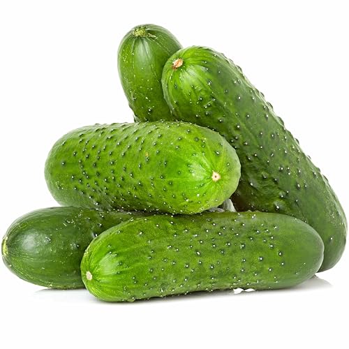 National Pickling Cucumber Seeds for Planting - Heirloom Non-GMO USA Grown Seeds in Premium Waterproof Packaging with Plant Information and Instructions - Cucumis Sativus
