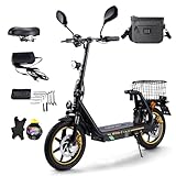 TWOFISH E Scooter mit Straßenzulassung(EEC), 12 Zoll Elektroroller für Erwachsene, mit 48V 13Ah Akku, 120 kg Tragkraft 30 km Reichweite Scheibenbremsen für den Stadtverkehr, M5 PRO E